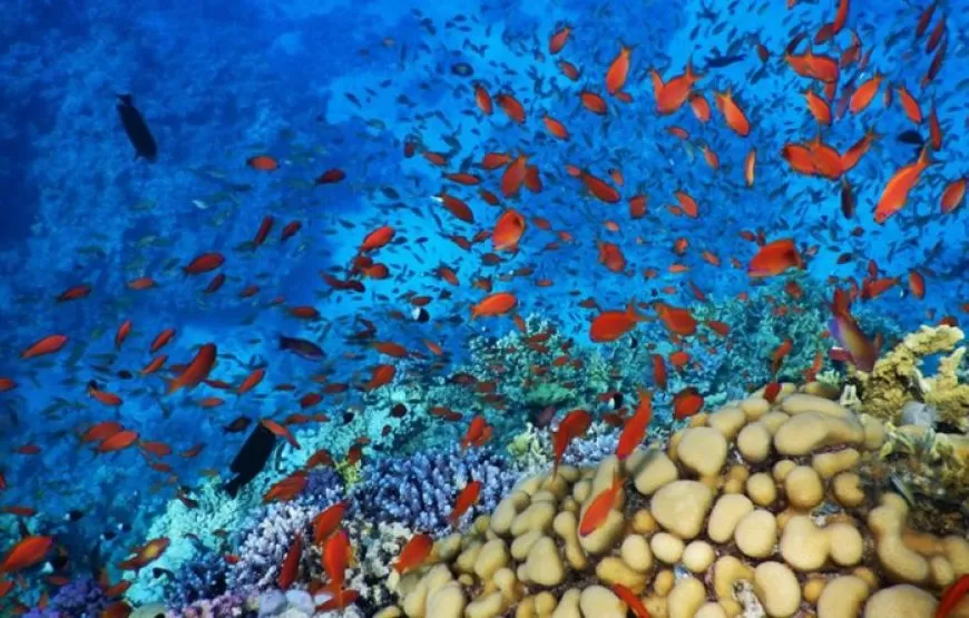 Kairo & Sharm Urlaub 6 Tage/5 Nächte