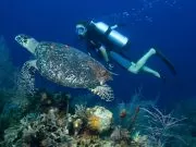 Cairo & Sharm Vacation 6 days/5 nights
