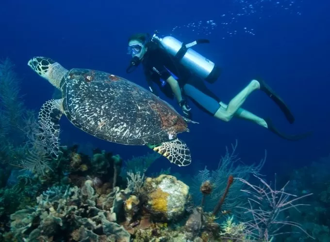 Cairo & Sharm Vacation 6 days/5 nights