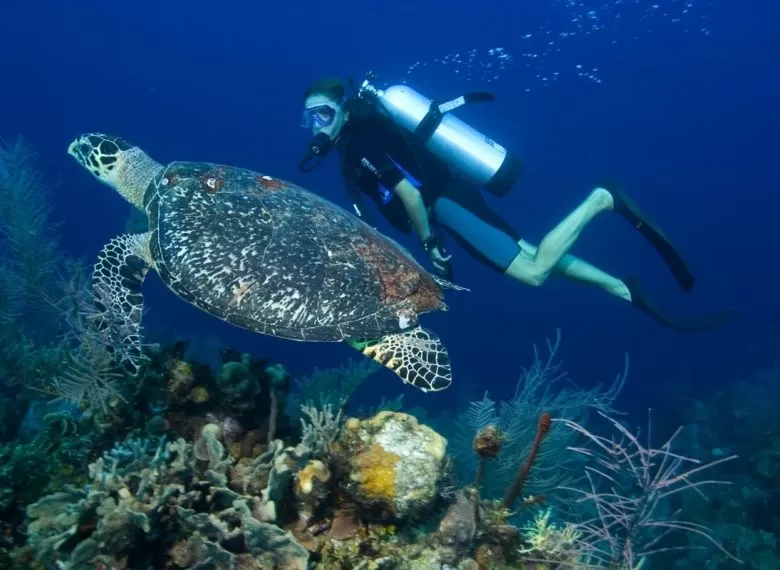 Cairo & Sharm Vacation 6 days/5 nights