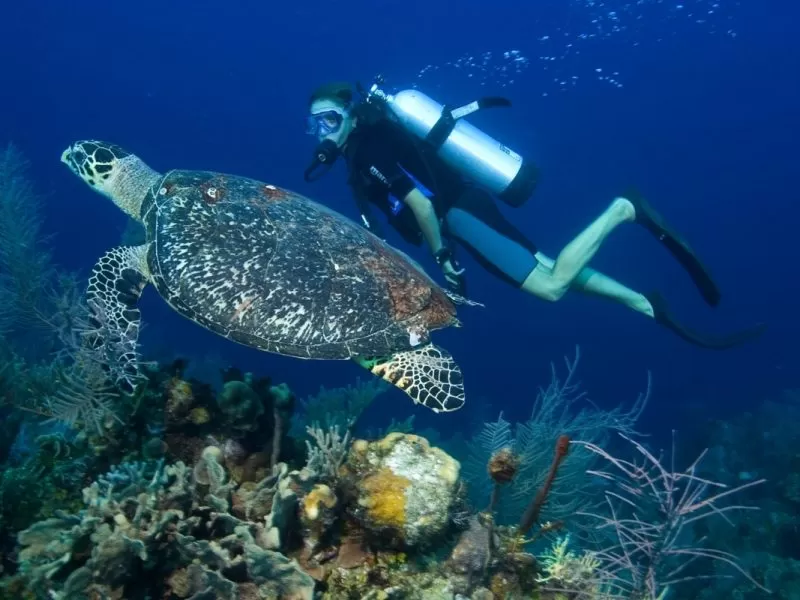 Cairo & Sharm Vacation 6 days/5 nights