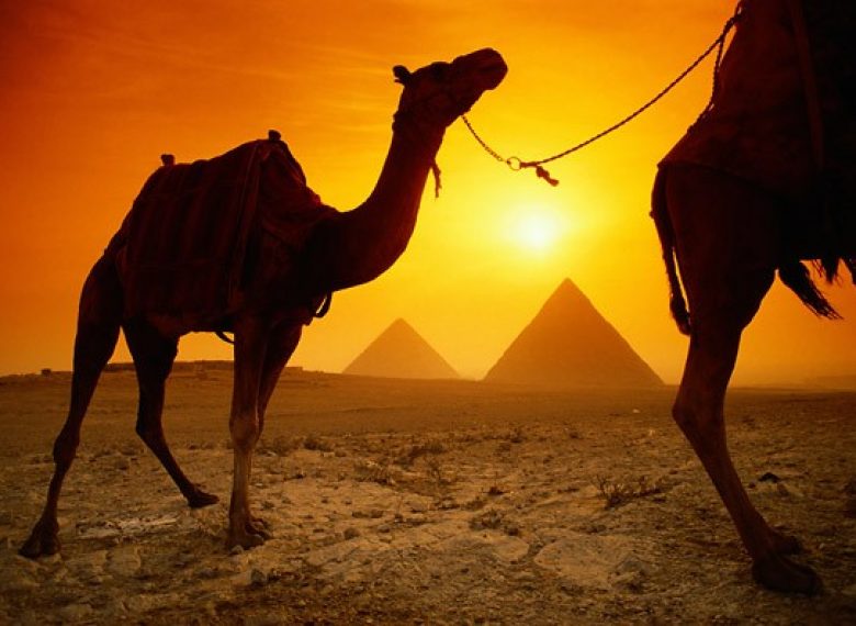 Egipto Nilo,Oasis y Templos Cairo, Siwa, Valle Nilo 12 Noches / 13 Dias