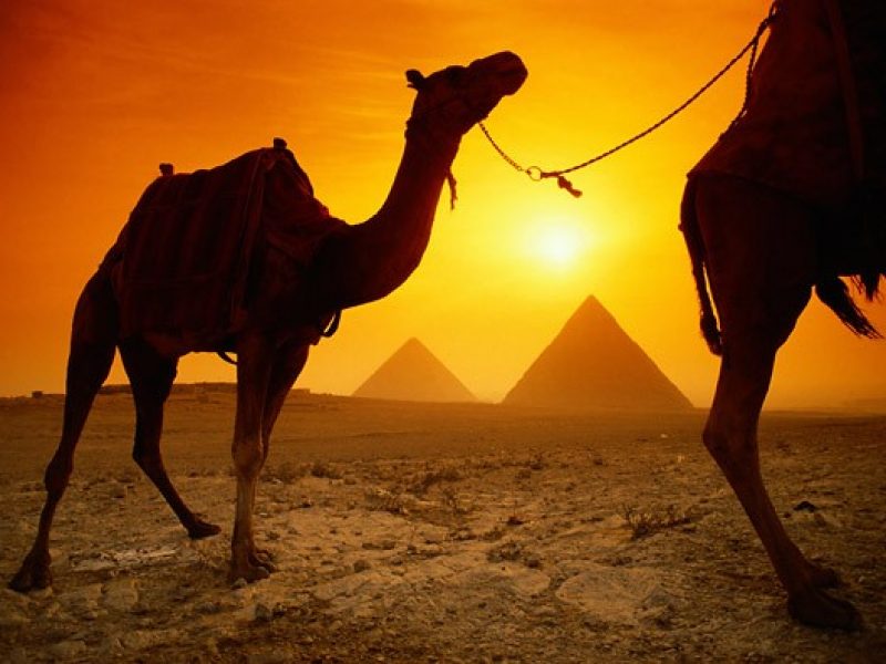 Egipto Nilo,Oasis y Templos Cairo, Siwa, Valle Nilo 12 Noches / 13 Dias
