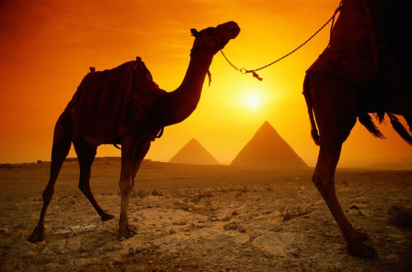 Egipto Nilo,Oasis y Templos Cairo, Siwa, Valle Nilo 12 Noches / 13 Dias