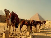Holidays Made Easy | Egypt, Holidays, Tours, Tour Packages, Excursions