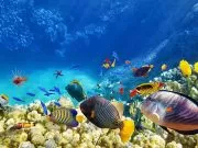 1 Week Tour  Hurghada & Nile Cruise