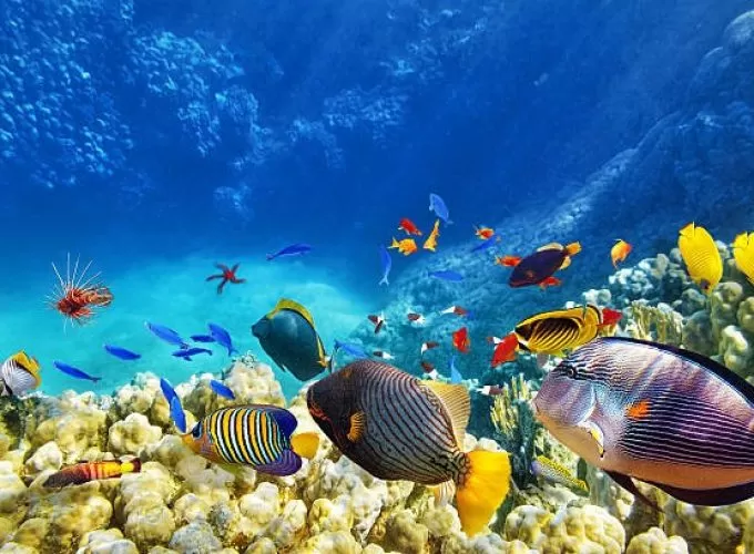 1 Week Tour  Hurghada & Nile Cruise