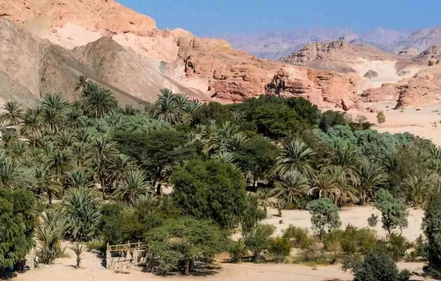 Trekking in Ägypten – 10 Tage / 09 Nächte