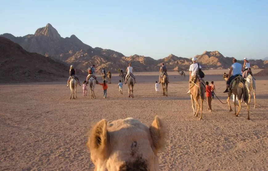 Hurghada: Quad-Fahrt & Jeep-Wüstensafari