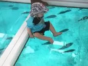 Glass Bottom Boat in Hurghada