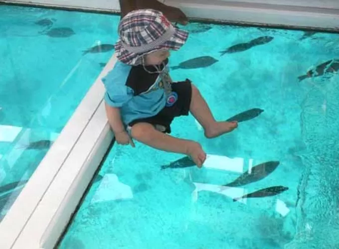 Glass Bottom Boat in Hurghada