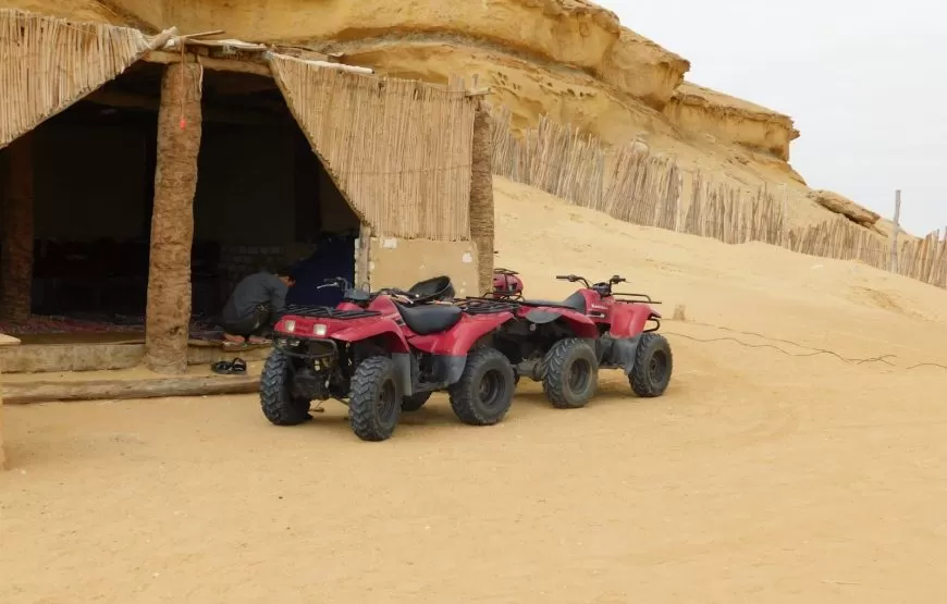 1 Night El Fayoum