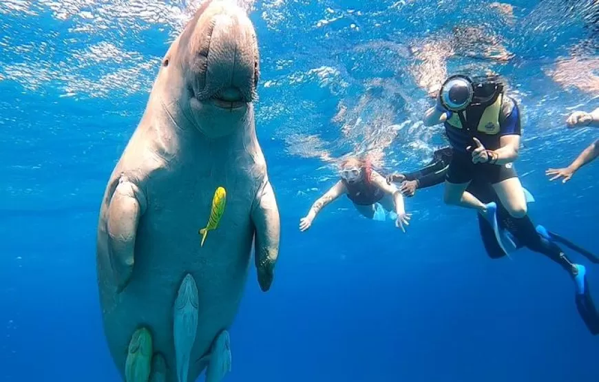 7 Nights Marsa Alam