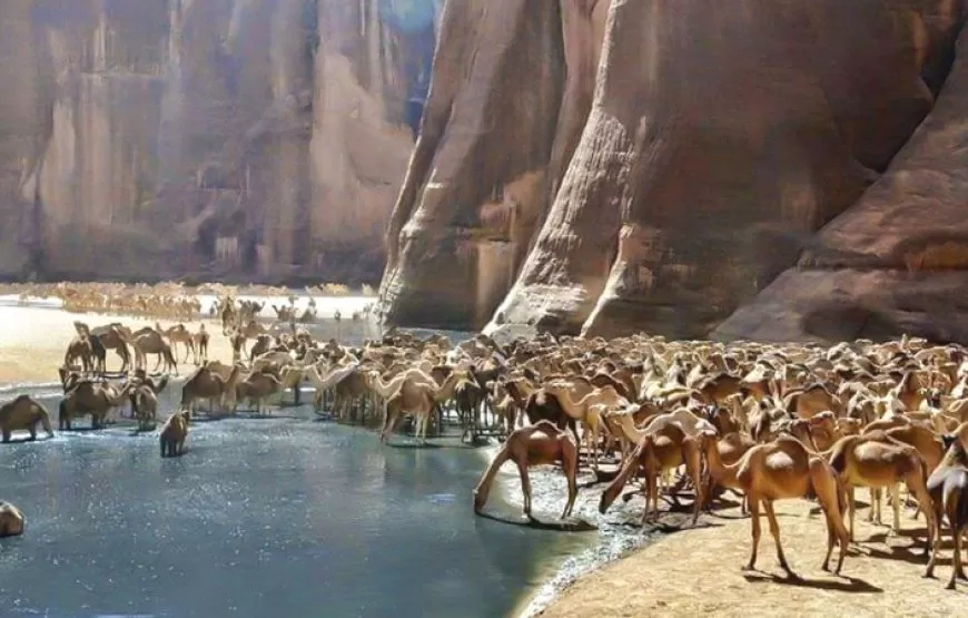 7 Nights Marsa Alam