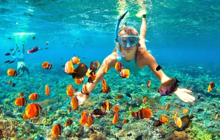 7 Nights Marsa Alam