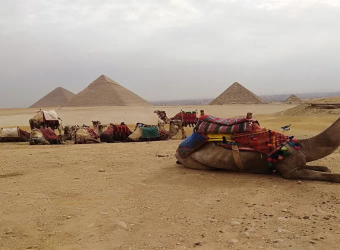 Day Egypt Tour