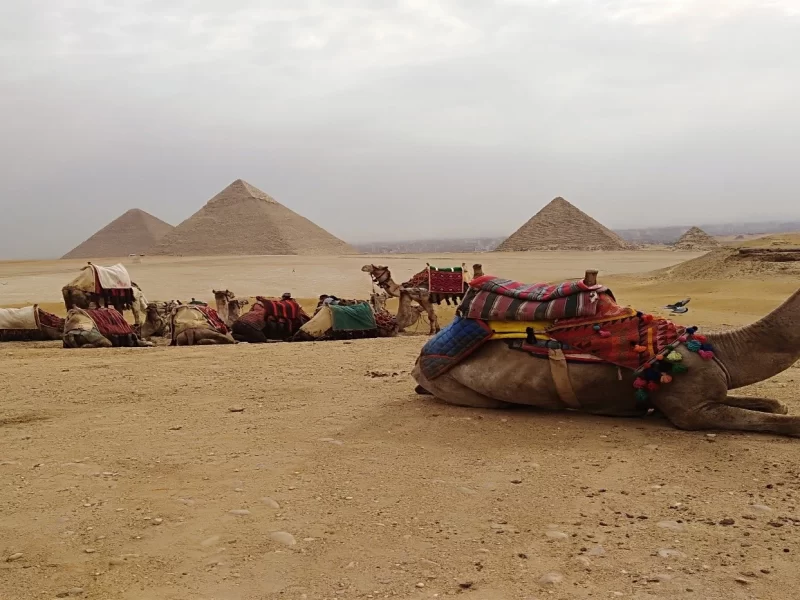 Day Egypt Tour