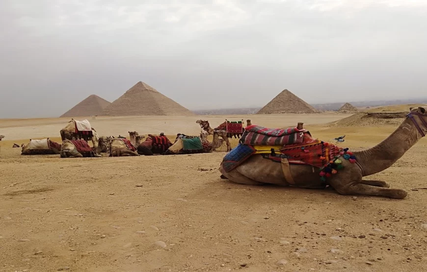 Egypt 365: Luxor – Hurghada – Cairo